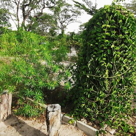 Happy Forest B&B Katima Mulilo ภายนอก รูปภาพ