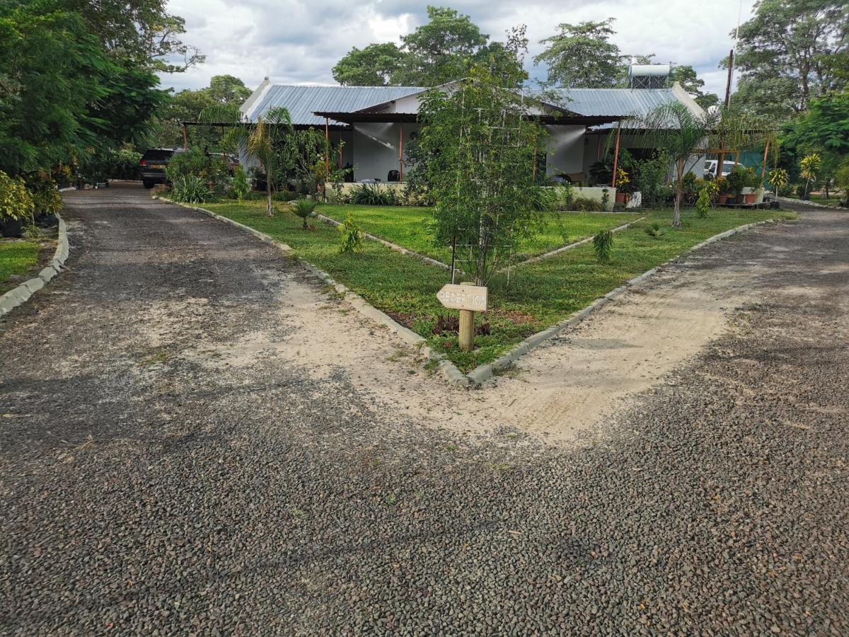 Happy Forest B&B Katima Mulilo ภายนอก รูปภาพ