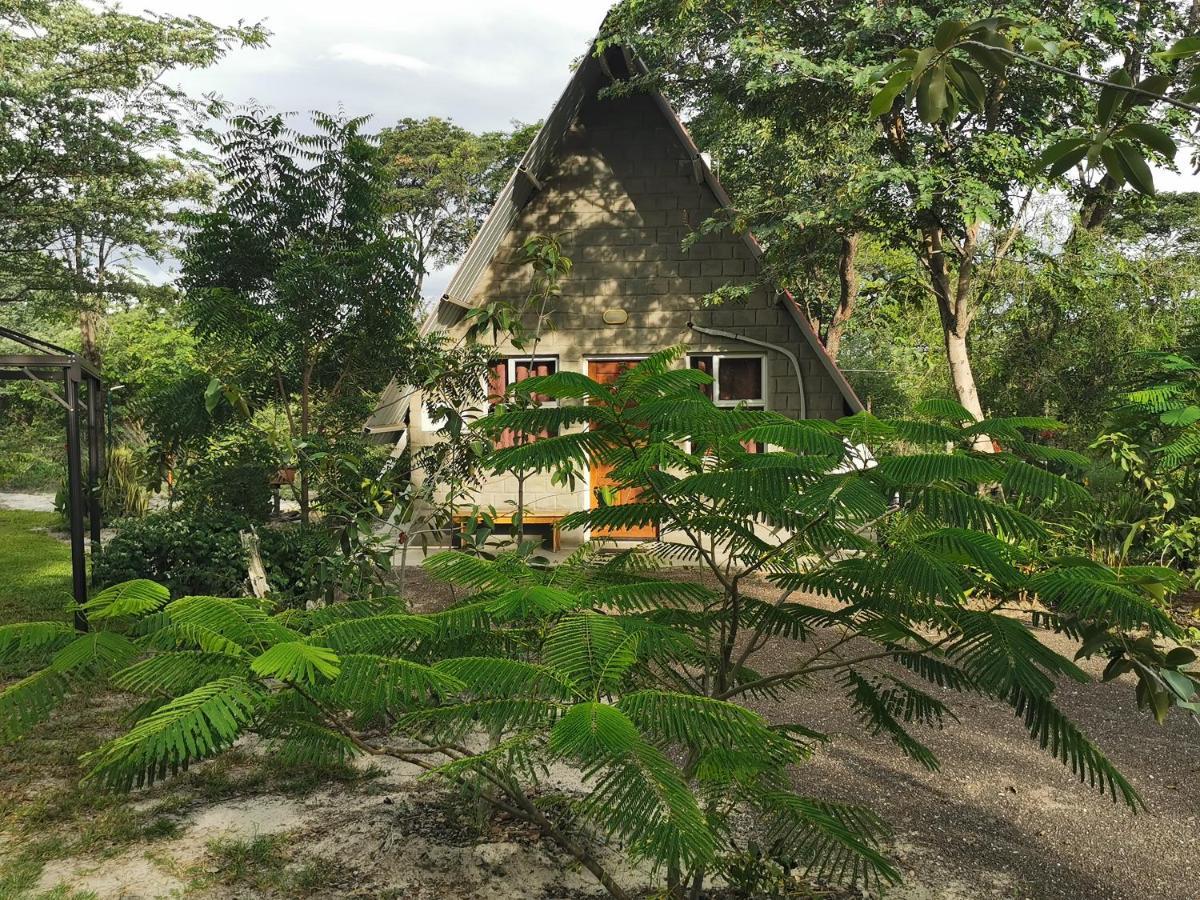 Happy Forest B&B Katima Mulilo ภายนอก รูปภาพ