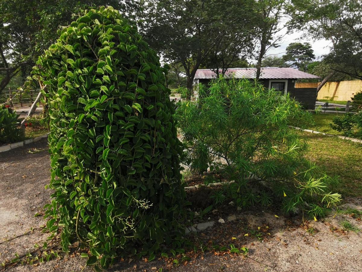 Happy Forest B&B Katima Mulilo ภายนอก รูปภาพ