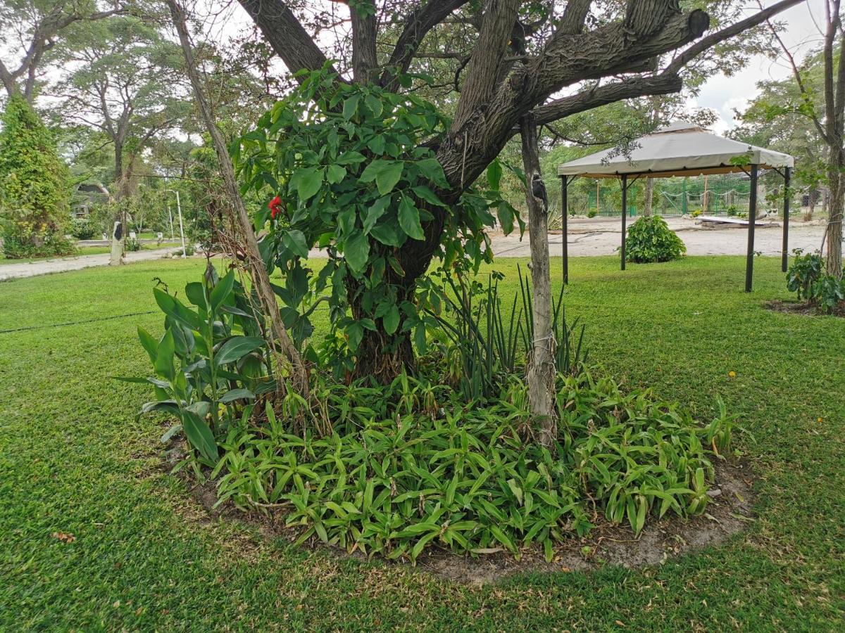 Happy Forest B&B Katima Mulilo ภายนอก รูปภาพ