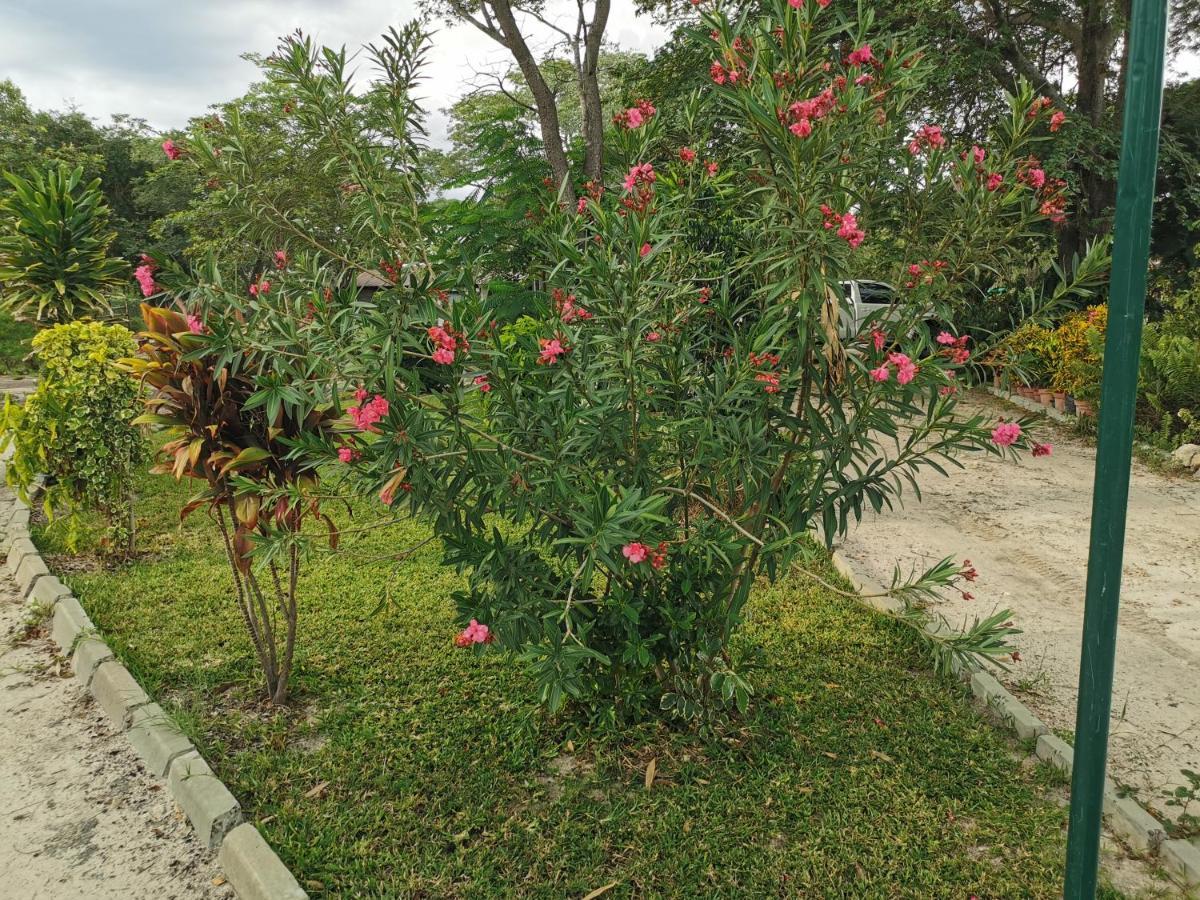 Happy Forest B&B Katima Mulilo ภายนอก รูปภาพ