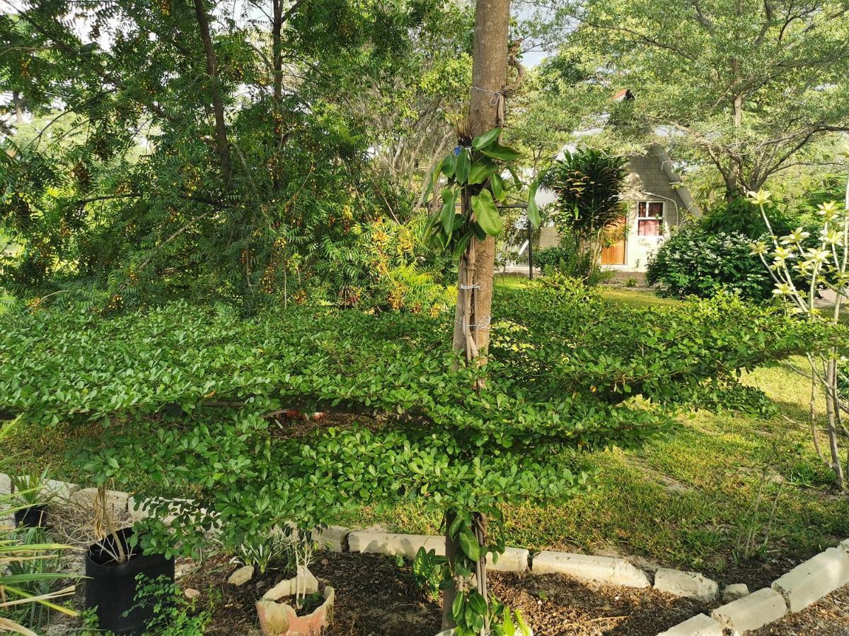 Happy Forest B&B Katima Mulilo ภายนอก รูปภาพ
