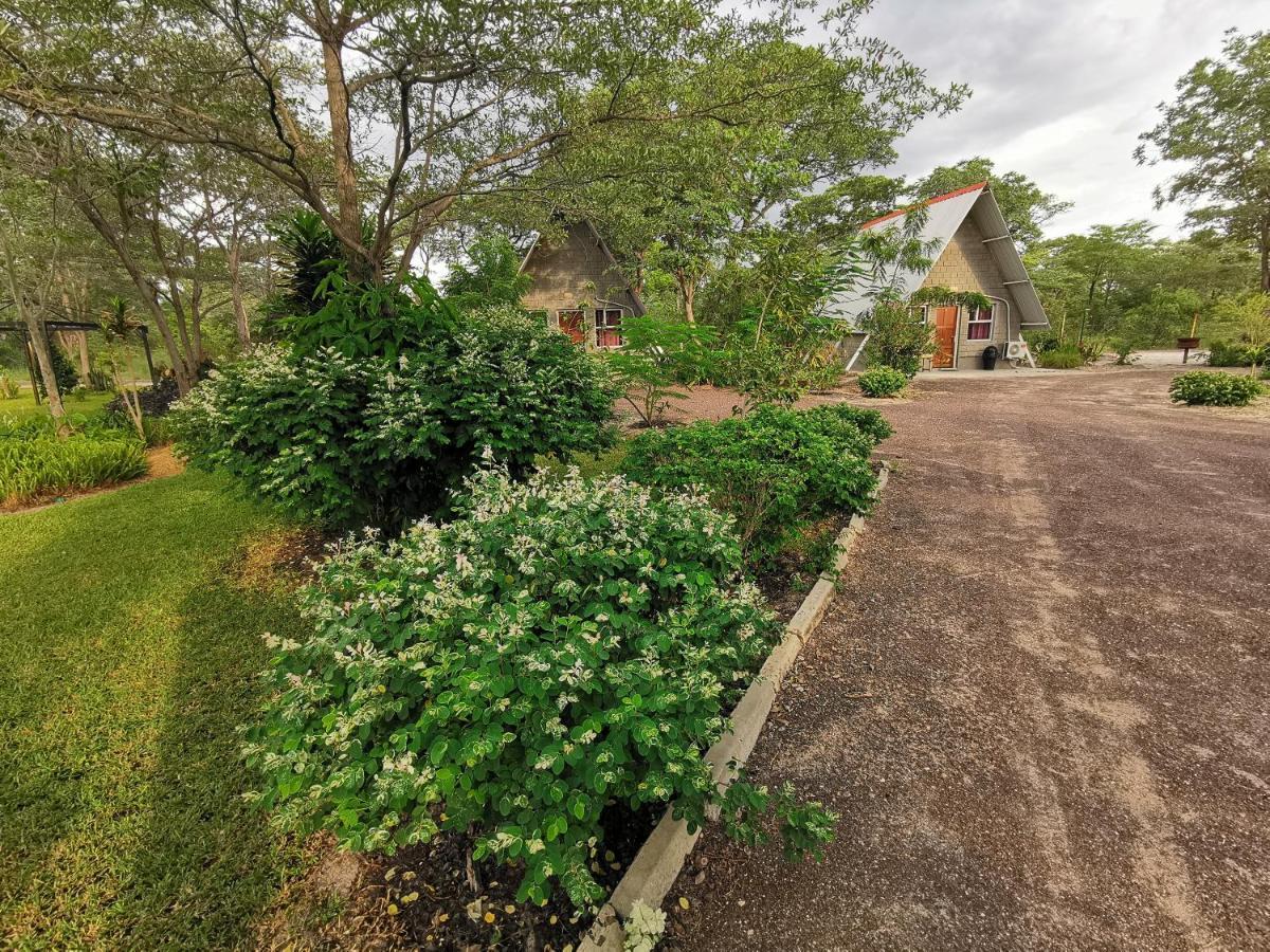 Happy Forest B&B Katima Mulilo ภายนอก รูปภาพ