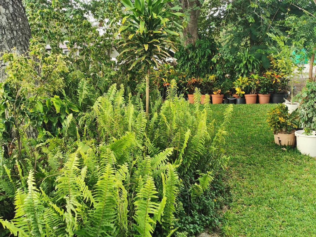 Happy Forest B&B Katima Mulilo ภายนอก รูปภาพ