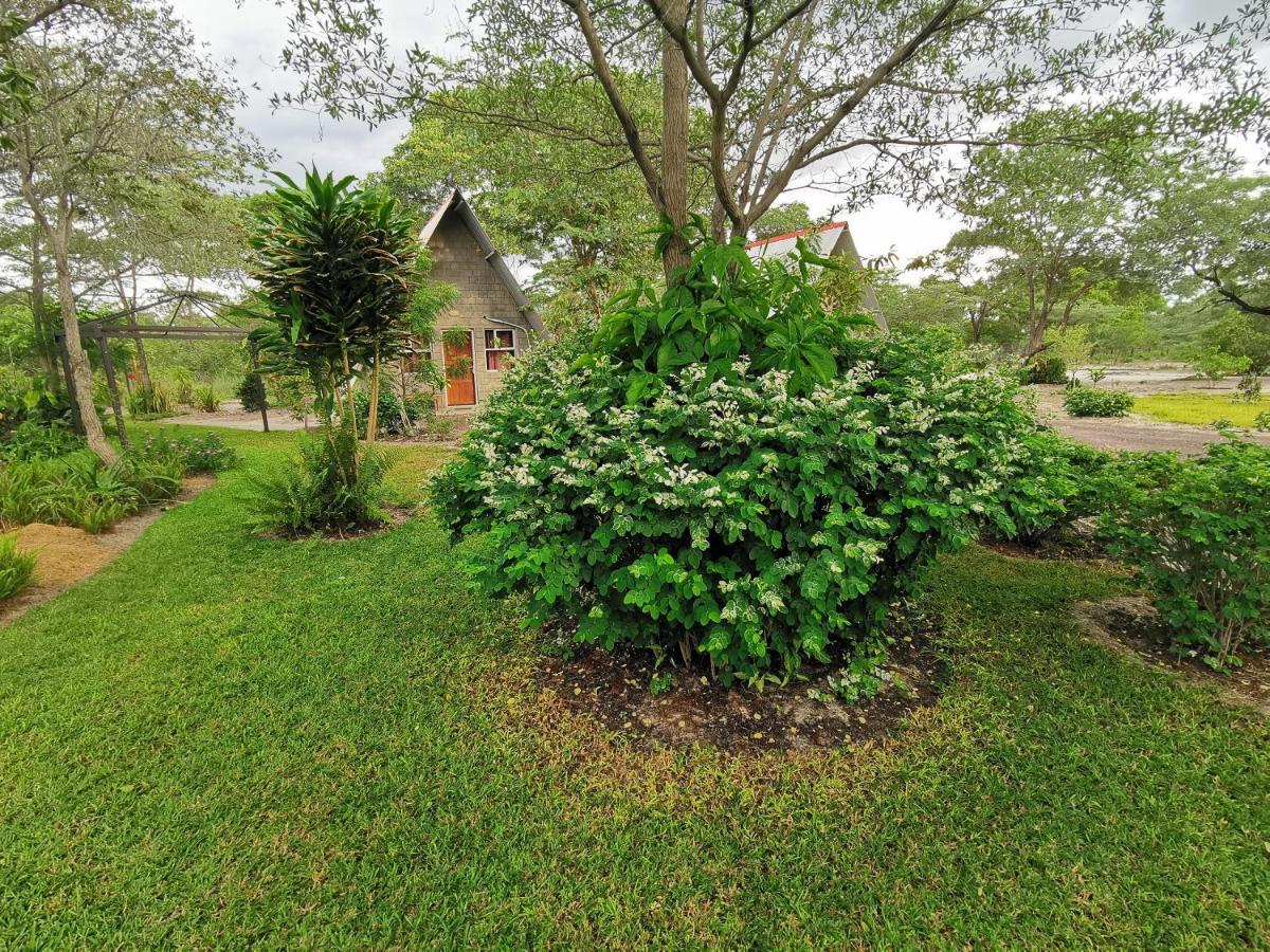 Happy Forest B&B Katima Mulilo ภายนอก รูปภาพ