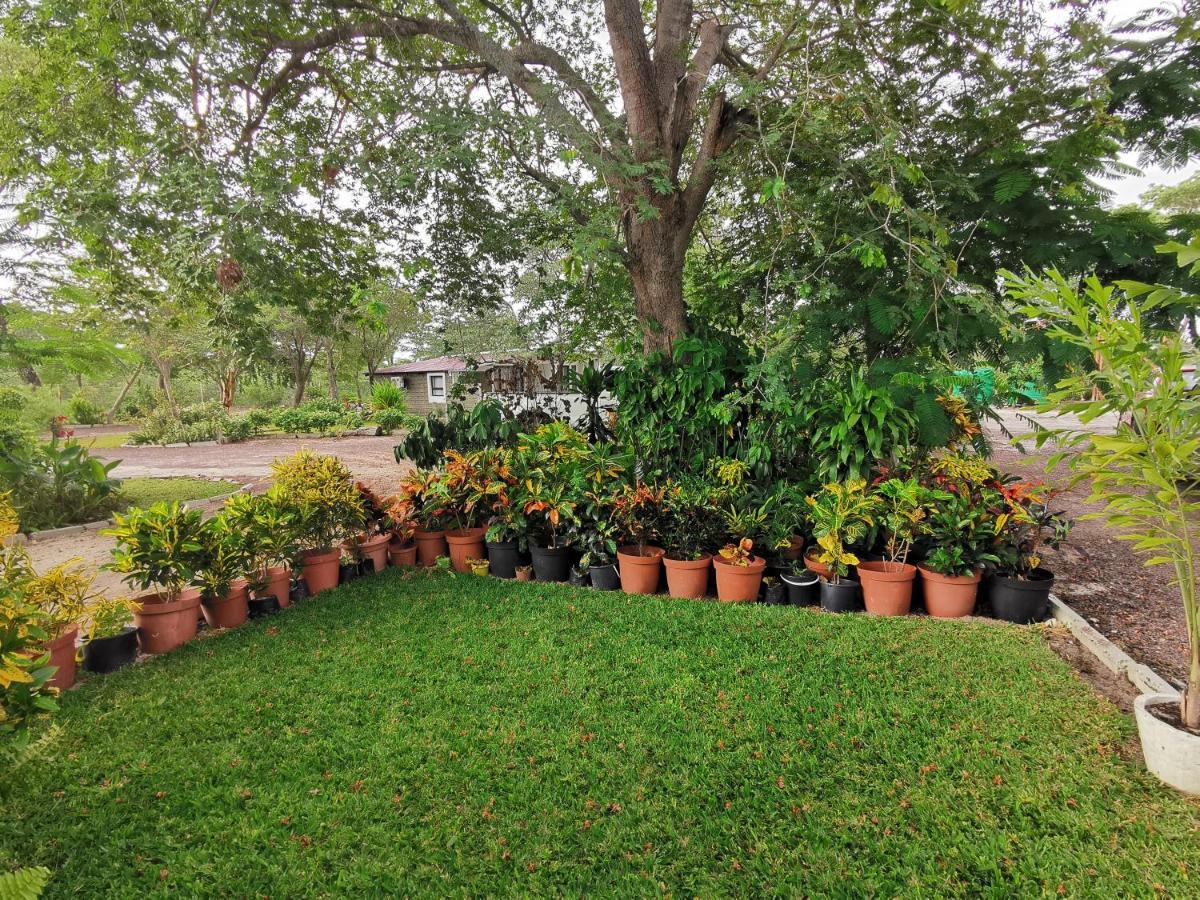 Happy Forest B&B Katima Mulilo ภายนอก รูปภาพ