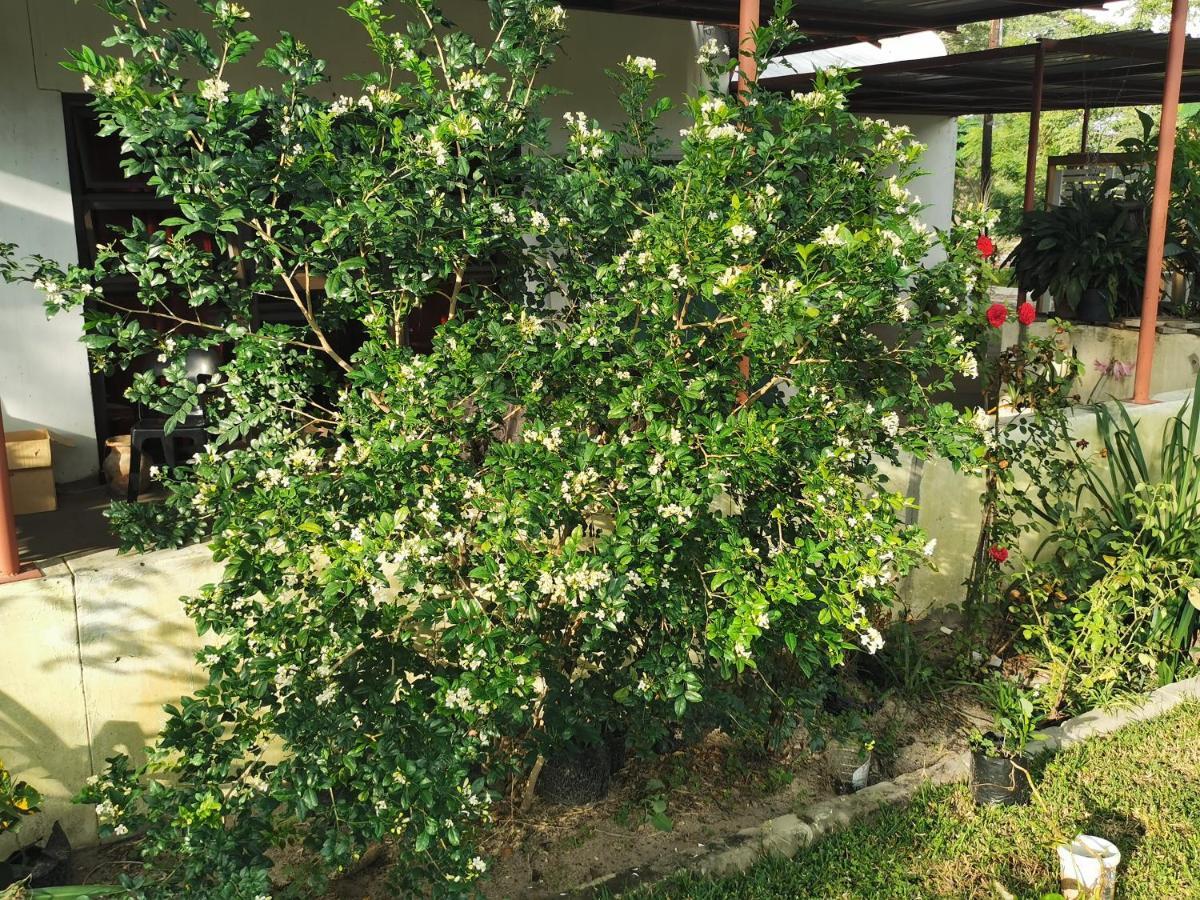 Happy Forest B&B Katima Mulilo ภายนอก รูปภาพ