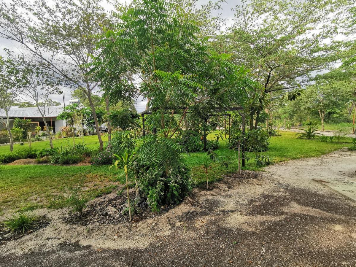 Happy Forest B&B Katima Mulilo ภายนอก รูปภาพ