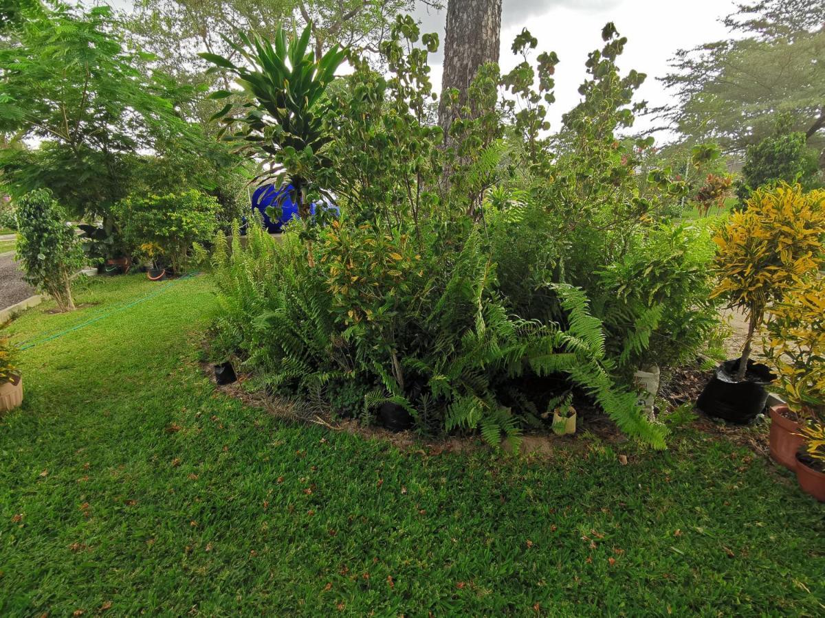 Happy Forest B&B Katima Mulilo ภายนอก รูปภาพ