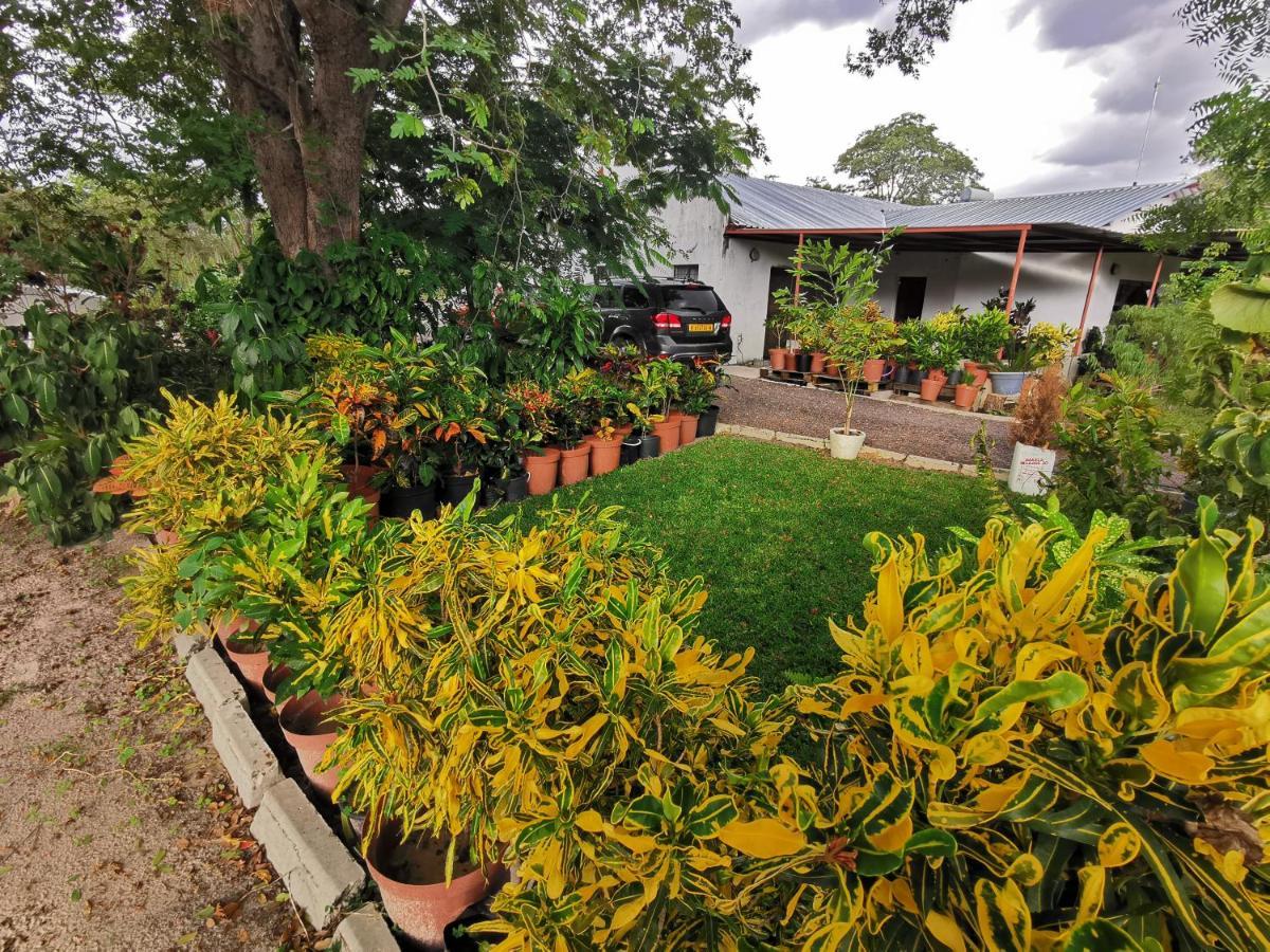 Happy Forest B&B Katima Mulilo ภายนอก รูปภาพ