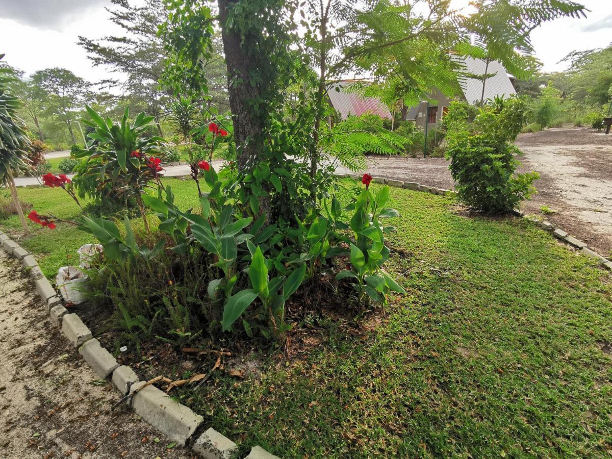 Happy Forest B&B Katima Mulilo ภายนอก รูปภาพ