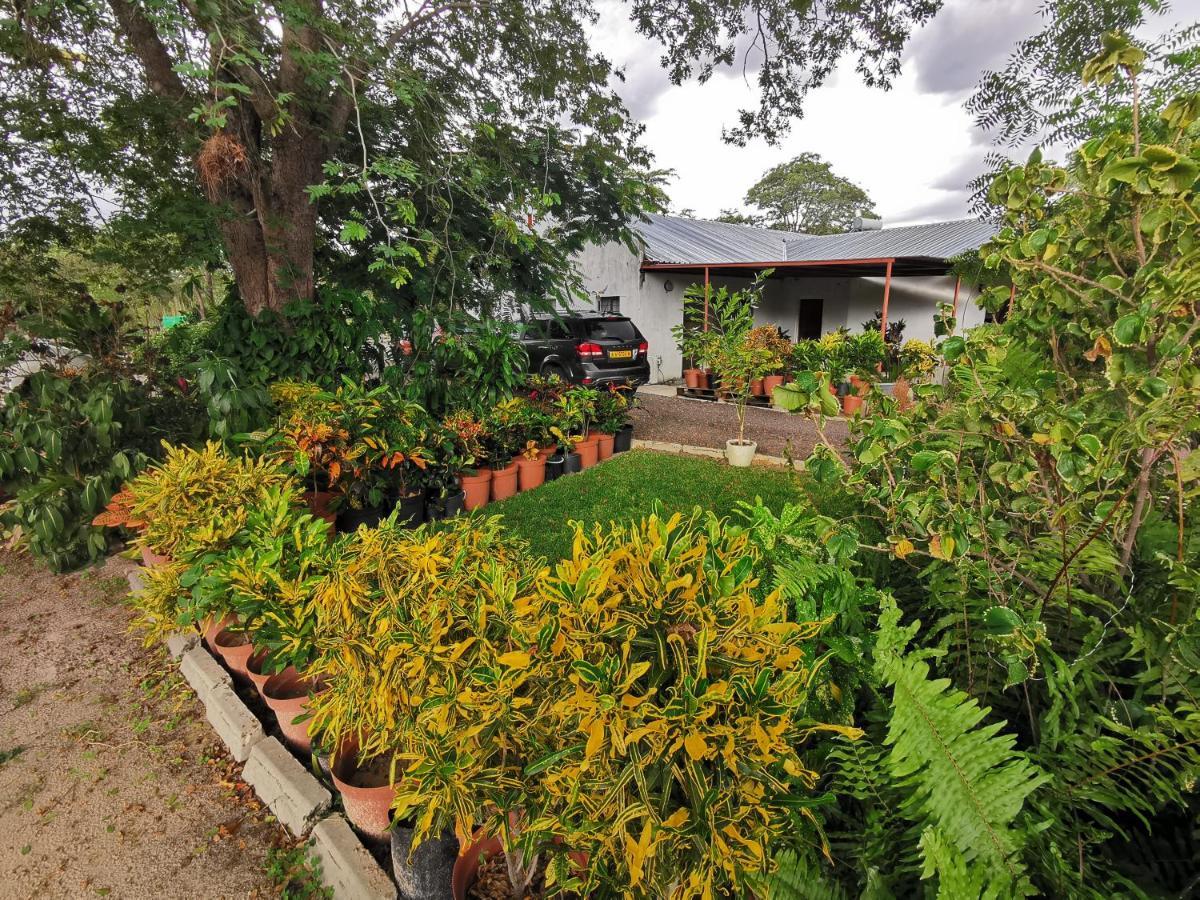 Happy Forest B&B Katima Mulilo ภายนอก รูปภาพ