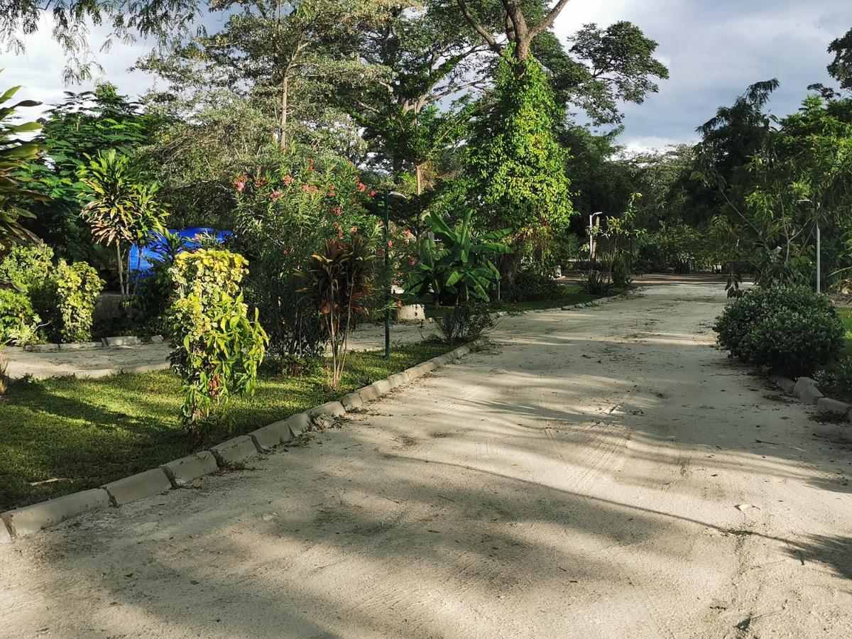 Happy Forest B&B Katima Mulilo ภายนอก รูปภาพ
