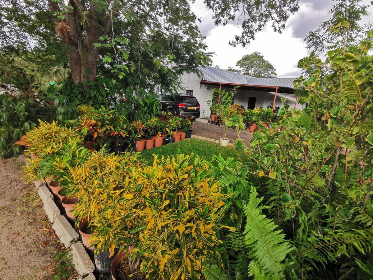 Happy Forest B&B Katima Mulilo ภายนอก รูปภาพ